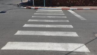 הנהגים מתמרנים