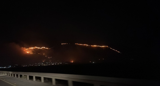 שריפה בהר גלבוע