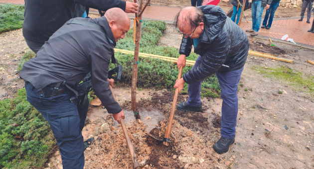 ראש העיר אלפסי נטע עץ שקד
