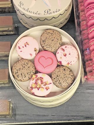 צילום: ליהיא לפיד